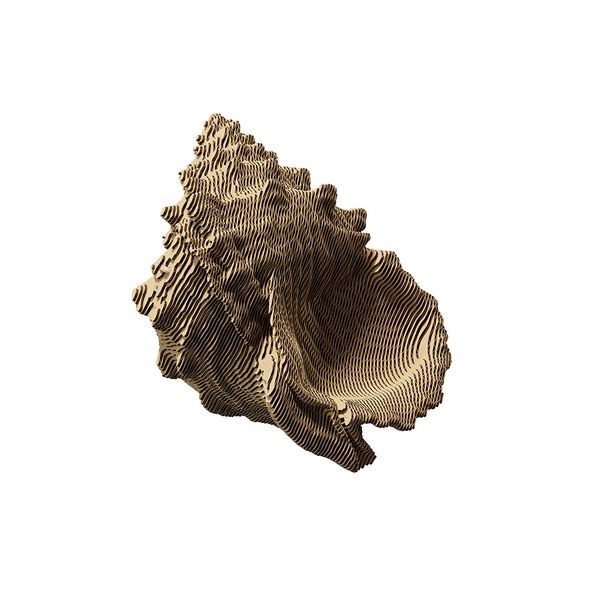 3D пазл Cartonic Мушля - Картонний 3Д пазл(CARTSHELL) фото