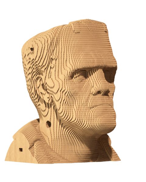 3D пазл Cartonic Потвора Франкенштейна - Картонний 3Д пазл(CARTFRANK) фото