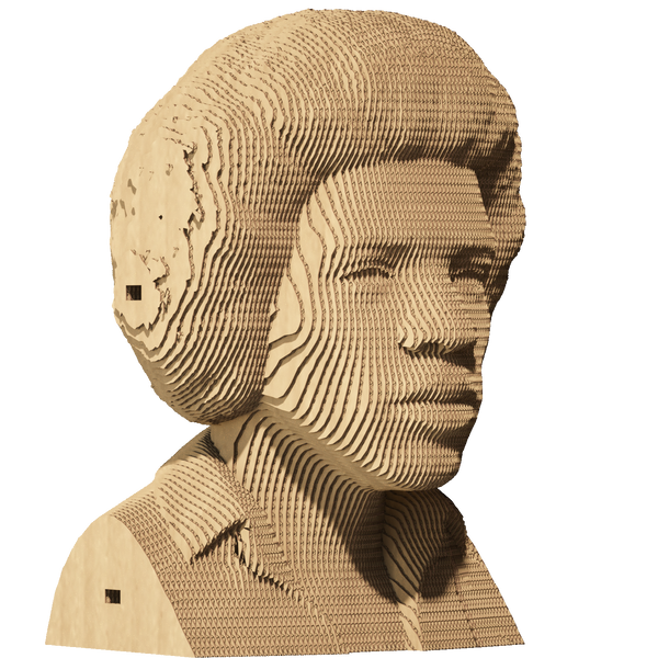 3D пазл Cartonic Джимі Гендрікс - Картонний 3Д пазл(CARTMJMH) фото