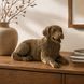 3D пазл Cartonic ЗОЛОТИСТИЙ РЕТРИВЕР (GOLDEN RETRIEVER) - Картонний 3D-пазл(CARTRETRI) фото 1