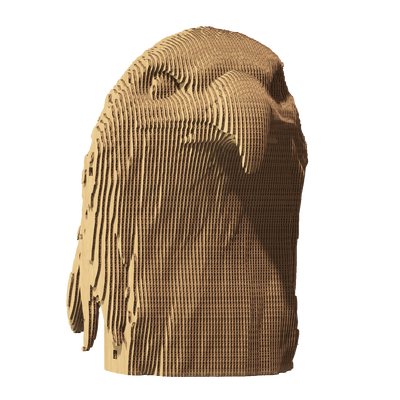 3D пазл Cartonic Орел - Картонний 3Д пазл(CARTEAG) фото
